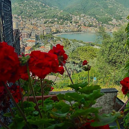 Vila Sunrise Rapallo Exteriér fotografie